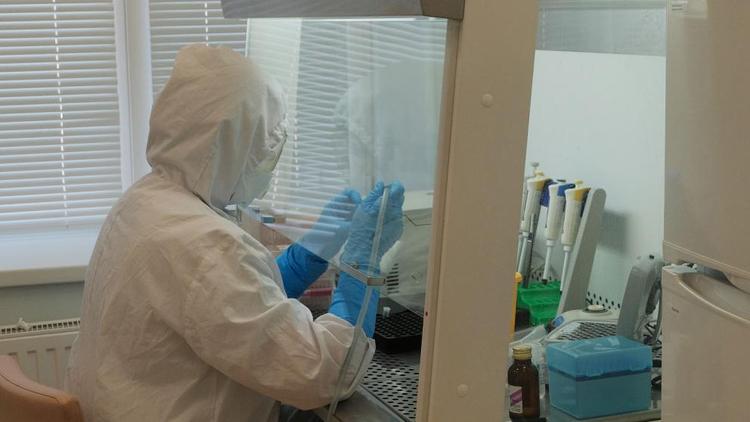 На Ставрополье лаборатории за сутки провели около 6 тысяч COVID-тестов