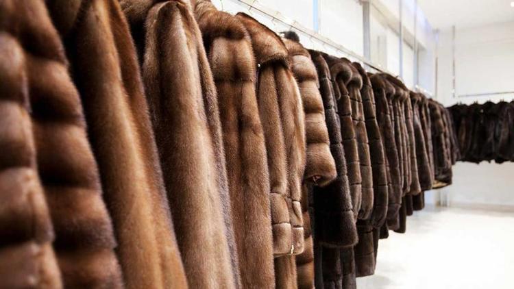 В Пятигорске проведут международную выставку изделий из меха и кожи