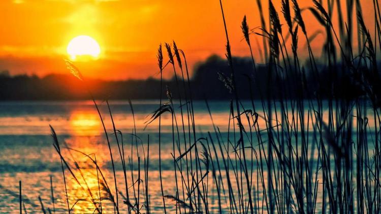 На Ставрополье дополнительно проверят места отдыха у воды