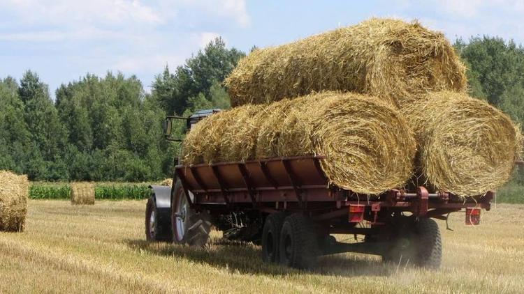 План по заготовке кормов перевыполнили в Кочубеевском округе Ставрополья