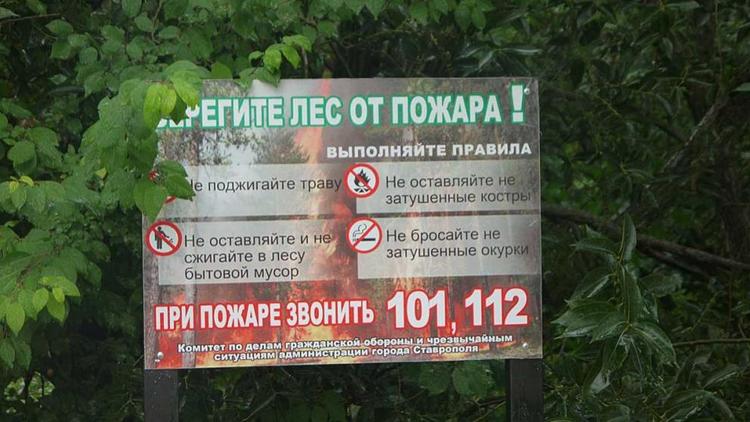 В лесах Ставрополя в 2021 году возгораний не зафиксировано