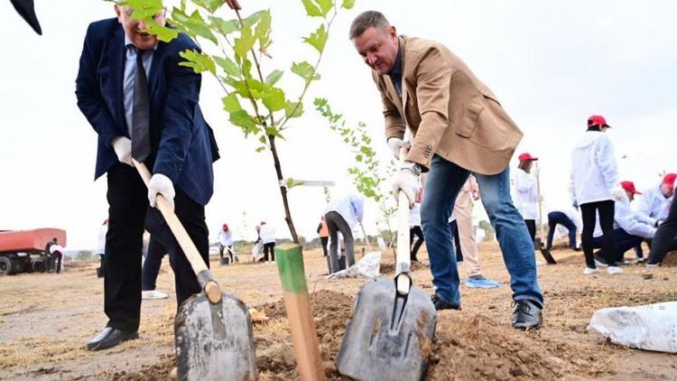 В Будённовске началось обустройство нового парка