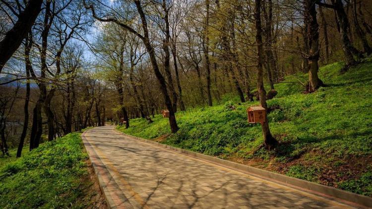 В Курортном парке Железноводска появятся умный шлагбаум и электронное табло