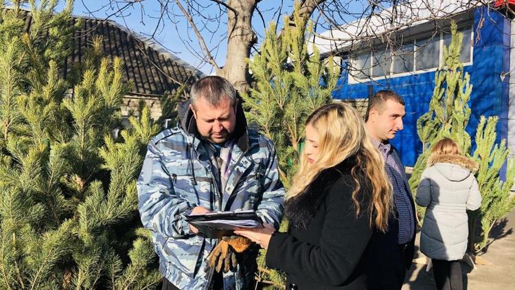 В Железноводске торговали новогодними ёлками по завышенным ценам