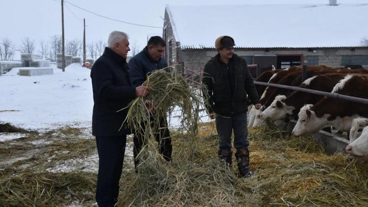 В Новоселицком округе Ставрополья реализуют инвестпроект по молочному животноводству