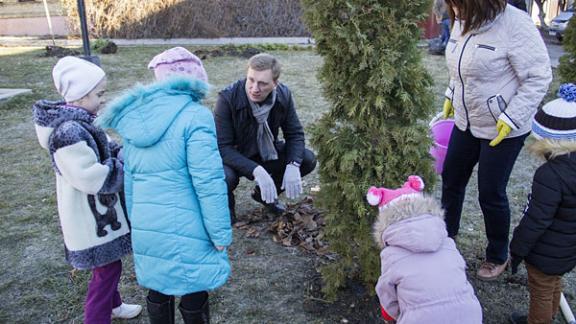 Улицы Ессентуков украсили около ста новых деревьев