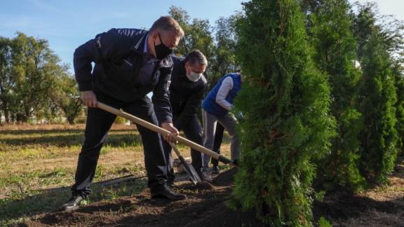 Губернатор Ставрополья поддержал акцию по озеленению Пятигорска