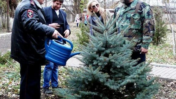 «Лес Победы» высаживают в Кировском округе – в память о погибших земляках