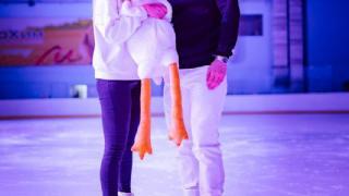 Предложение руки и сердца сделали в Ледовом дворце Невинномысска 