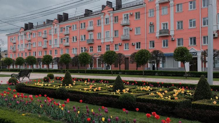 В Ставрополе подстригли 360 лиственных деревьев