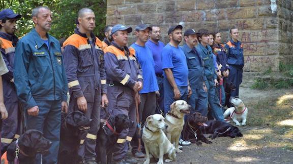 В Ставрополе прошли региональные соревнования кинологов