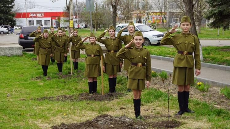 В Грачёвке территорию Дома культуры украсил «Сад памяти»