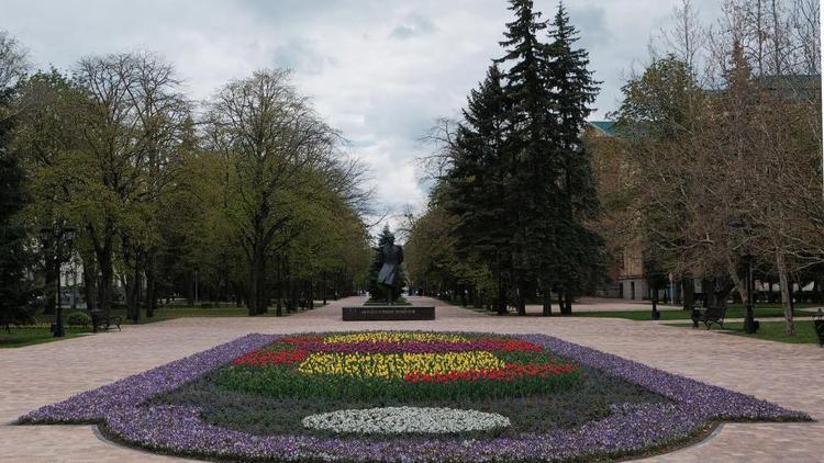 В Ставрополе ко Дню Победы создадут георгиевскую ленточку из цветов