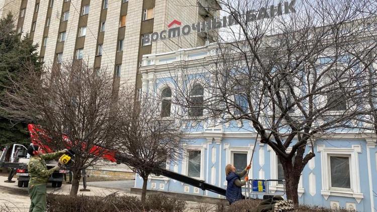 В Ставрополе приступили к весенней стрижке деревьев и кустарников