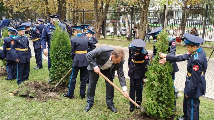 «Аллею Ангелов» высадили в Ставрополе