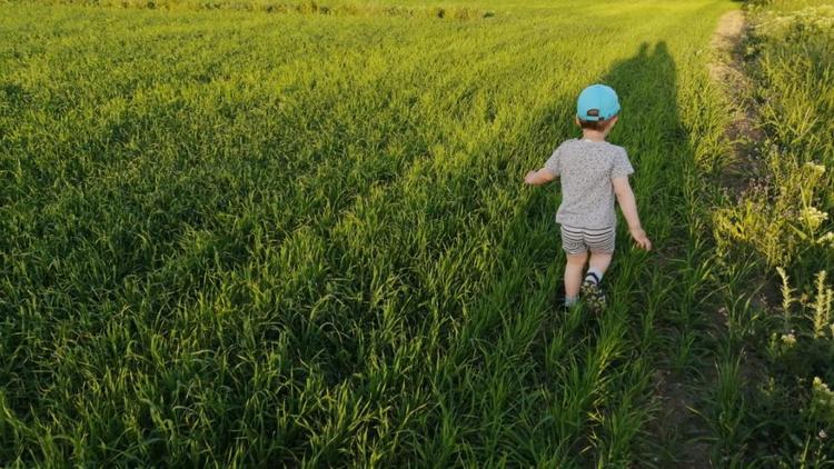 На Ставрополье семьи с детьми получают ежемесячные выплаты