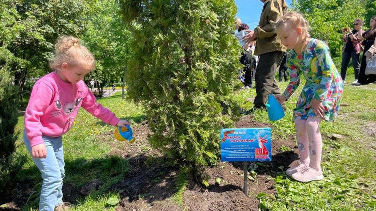 Аллею памяти поколений высадили в Кисловодске выпускники