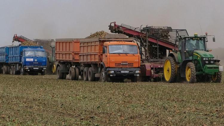 Производство сахара на Ставрополье может вырасти почти на треть