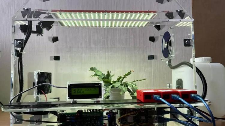 В школе Кировского округа Ставрополья появилась «Умная теплица»