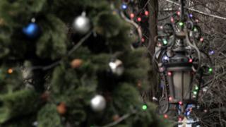 С 22 по 25 декабря в Ставрополе пройдут благотворительные Рождественские елки