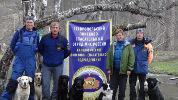 В Архызе прошли учебные сборы кинологической горно-лавинной службы МЧС России