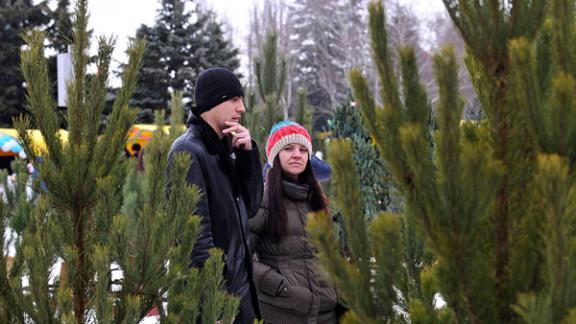 Новогодний базар развернется в Ставрополе на площади Ленина