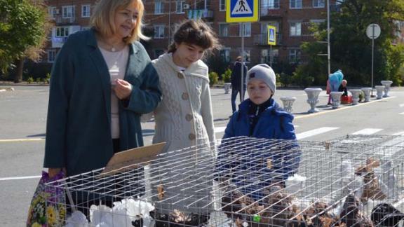 В Апанасенковском районе заводчики декоративных животных хвастались своими питомцами