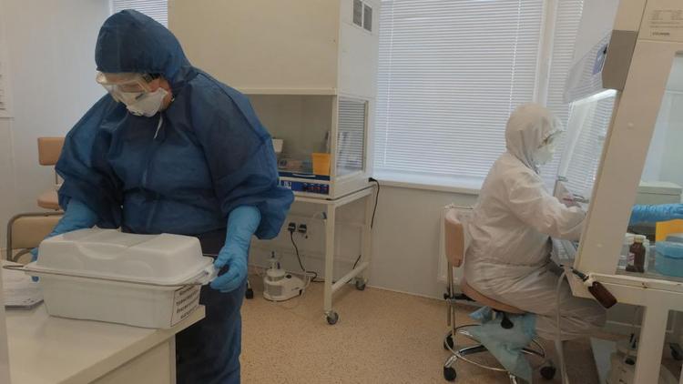 На Ставрополье провели свыше 1,1 миллиона тестов на коронавирус