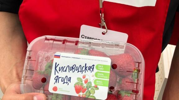 Ставропольская клубника покорила москвичей на фестивале «Вкусы России» 