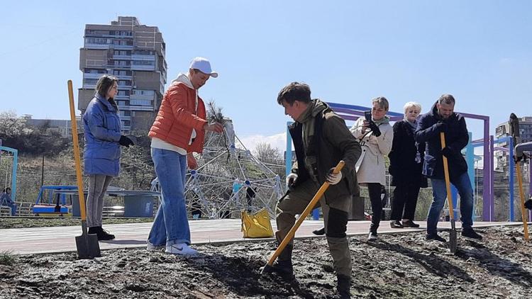 150 саженцев крымской сосны высадили в Кисловодске