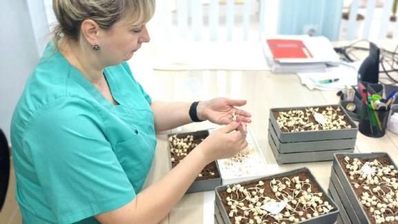 В Александровском округе Ставрополья начали подготовку к весенней посевной