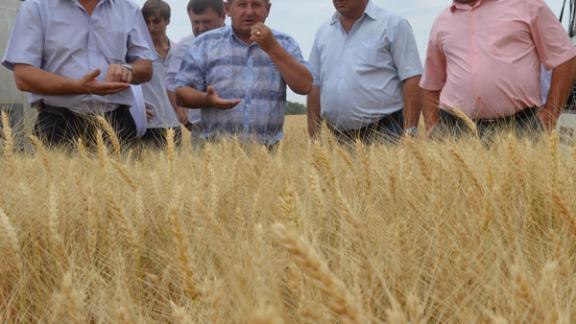 В Апанасенковском районе состоялось предуборочное совещание