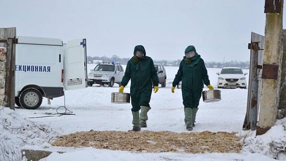 Учения по локализации биоугрозы провела ветслужба Ставрополья на востоке края