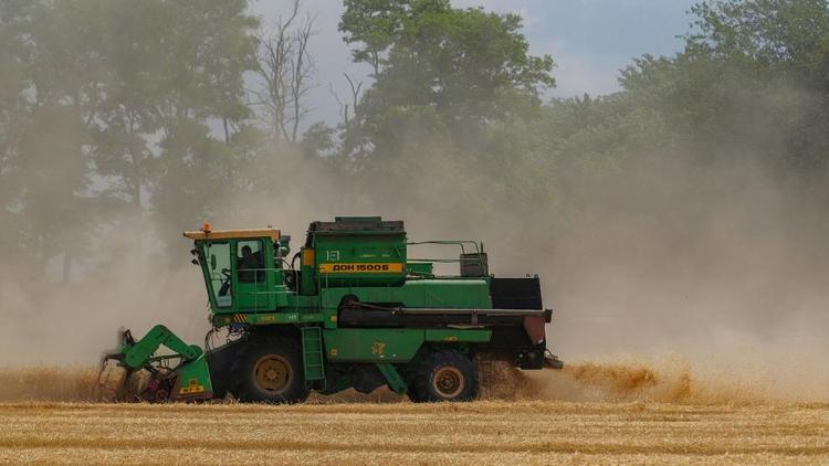 В Новоалександровском округе Ставрополья началась уборка озимой пшеницы