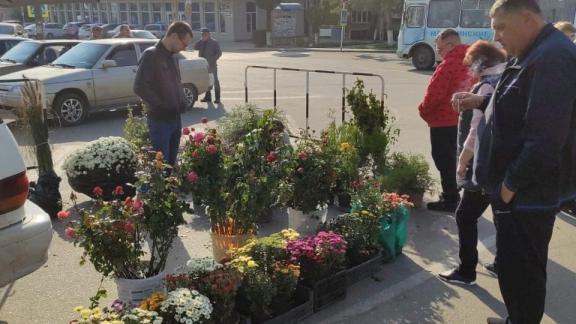 В селе Александровском на Ставрополье прошла ярмарка выходного дня