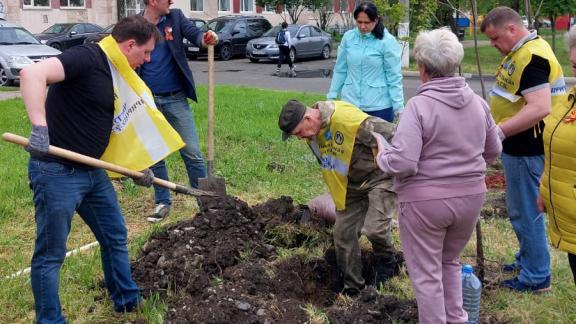 В Невинномысске нотариусы высадили деревья в честь 80-летия Великой Победы