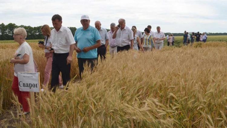 На Ставрополье обеспечат безопасность полей и дорог во время жатвы