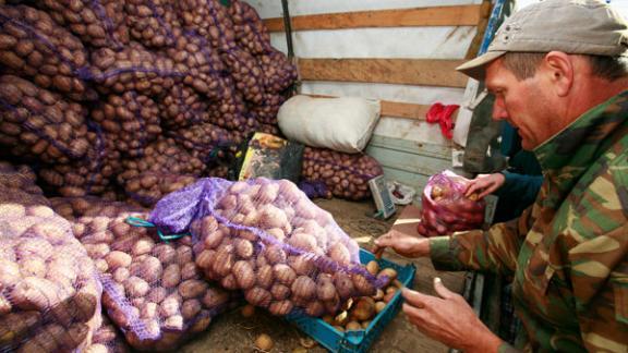 2,7 миллиона рублей наторговали на первой весенней ярмарке в Ставрополе