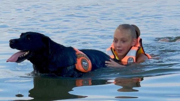 На Ставрополье прошли учения с участием собак - спасателей на воде