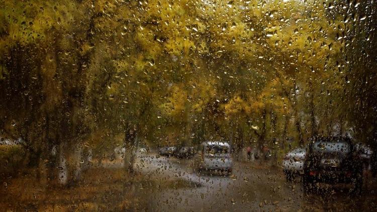 Дождь с грозой ожидается в Ставропольском крае на выходных