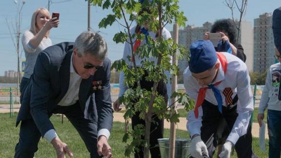 В Ставрополе космонавт посадил «Дерево мира»