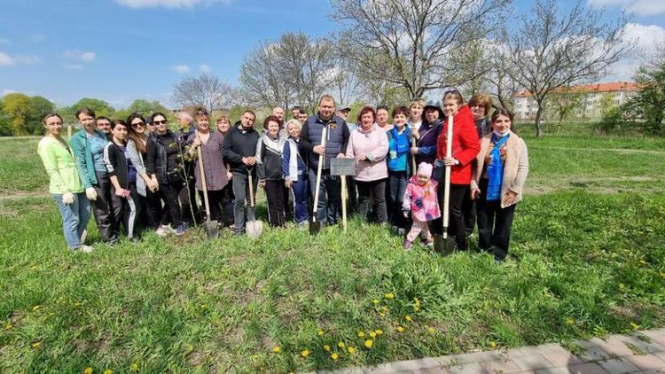В Предгорном округе Ставрополья высадили более 50 берёз и лип