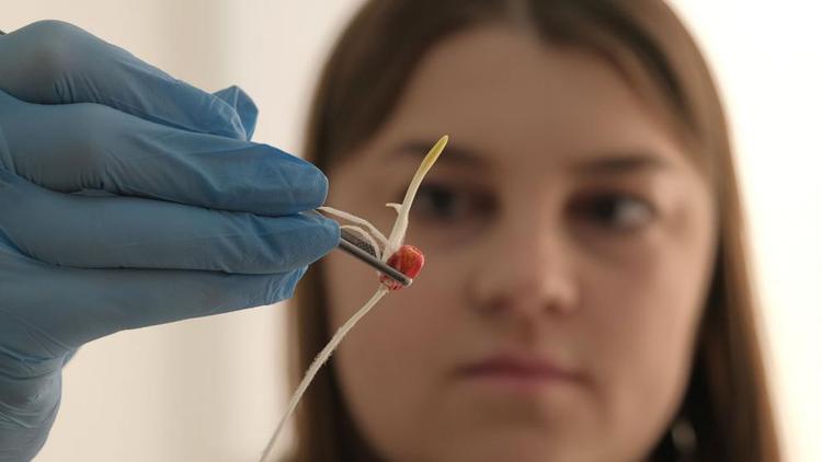 На Ставрополье полным ходом идет подготовка к весеннему севу