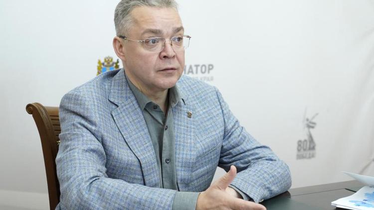 Губернатор Владимиров поручил сформировать группу по регулированию использования СИМ