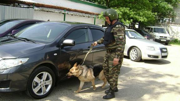 Саперы, кинологи и взрывотехники на службе Ставропольского ОМОНа