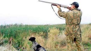 Разрешение на охоту на фазанов ставропольские охотники получили через жеребьёвку