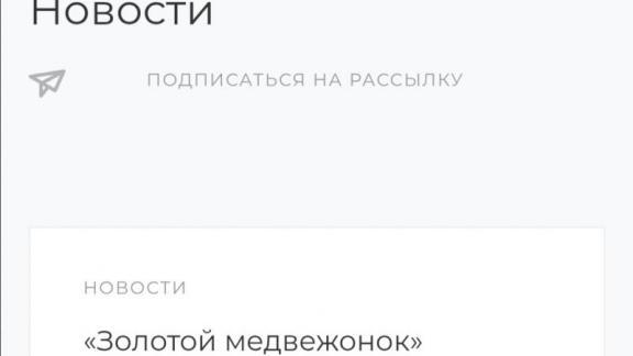 Подведён итог Национальной премии «Золотой медвежонок»