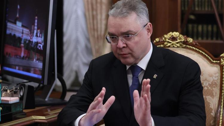 Губернатор Владимиров предложил меры поддержки аграриев на встрече с Президентом РФ