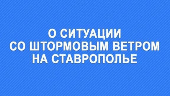 Глава Ставрополья дал поручения в связи со штормовым ветром