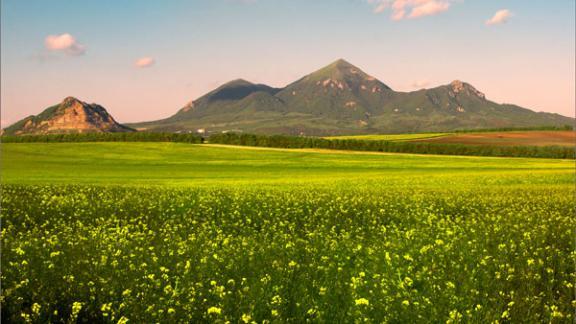 Лучший лесничий СКФО работает в Бештаугорском лесхозе